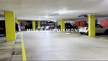 CAR sell: Risky Public Toilet Masturbation