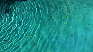 DAPHNE ROSEN IN DOUBLE PENETRATION AND MUCH MORE