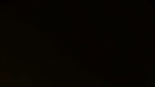 Namų apsaugos pareigūnas 01 lietuviškai sub