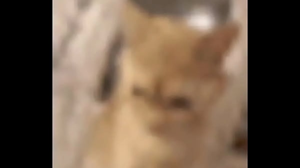 Si
