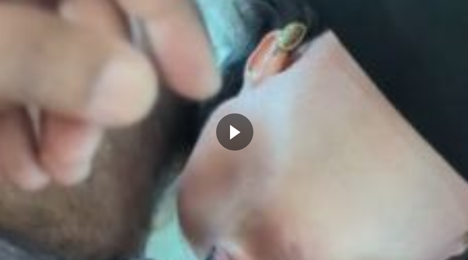 Submitted Video 142