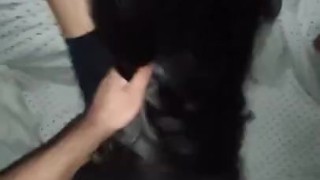 Spooky halloween video