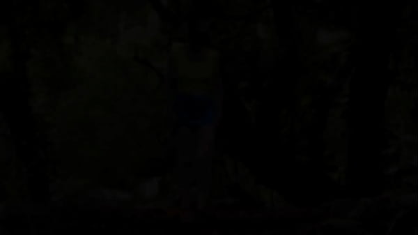 In the ruins of the abandoned house in the jungle I walk down, and up, the remaining stairs — and give a brief flash at …