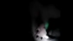 VID 20160903 051021